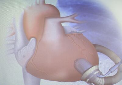 Imagen sin descripción