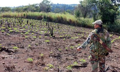 /pf/resources/images/abc-placeholder.png?d=2429