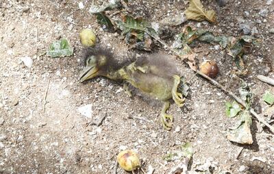 /pf/resources/images/abc-placeholder.png?d=2395