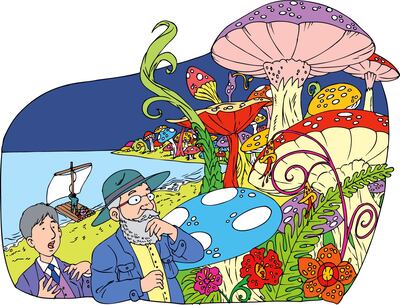 Imagen sin descripción