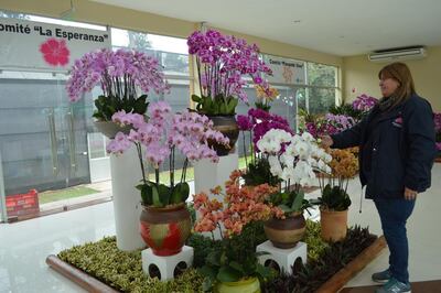 /pf/resources/images/abc-placeholder.png?d=2399