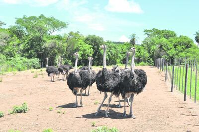 Imagen sin descripción
