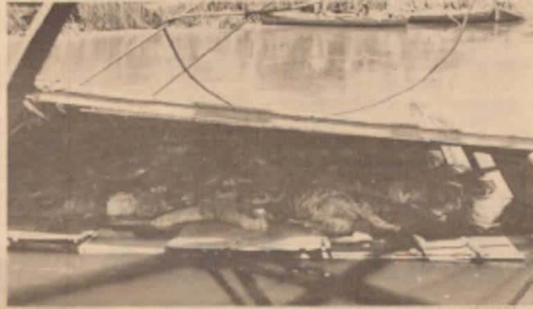 Así encontraron el interior del barco, el último día de rescate.