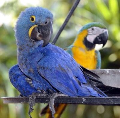 /pf/resources/images/abc-placeholder.png?d=2393