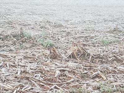 /pf/resources/images/abc-placeholder.png?d=2424