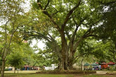 /pf/resources/images/abc-placeholder.png?d=2421