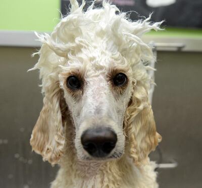 /pf/resources/images/abc-placeholder.png?d=2421