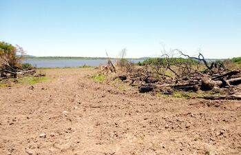 restos-de-arboles-talados-en-la-franja-de-proteccion-del-lago-ypoa-dentro-del-parque-nacional--220055000000-625902.jpg