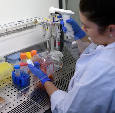 En la Universidad Adam Mickiewicz de  Polonia también realizan estudios piloto para descubrir anticuerpos para coronavirus.