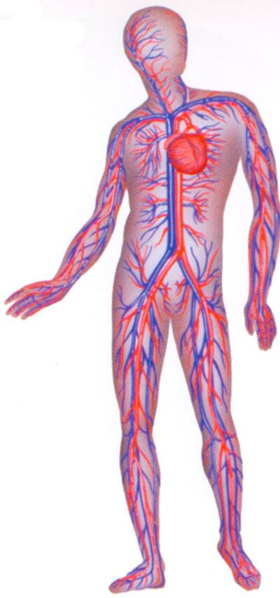 /pf/resources/images/abc-placeholder.png?d=2393