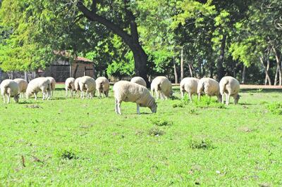 /pf/resources/images/abc-placeholder.png?d=2395