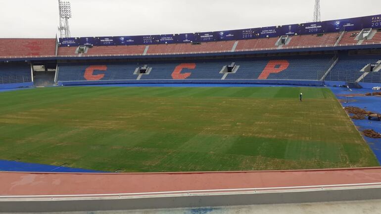 La Nueva Olla, césped, Copa Sudamericana.