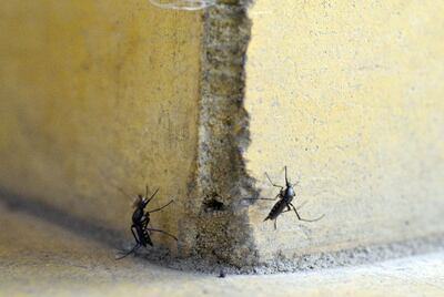 /pf/resources/images/abc-placeholder.png?d=2397