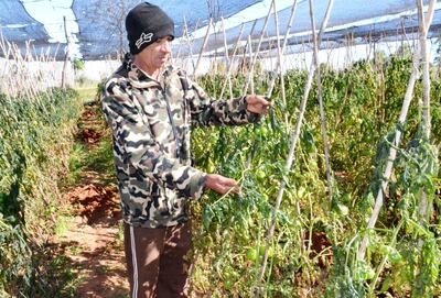 /pf/resources/images/abc-placeholder.png?d=2397