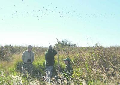 /pf/resources/images/abc-placeholder.png?d=2433