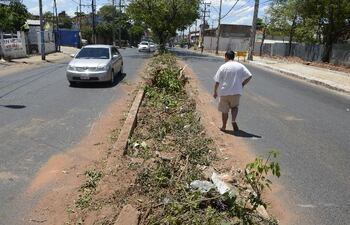 un-vecino-observa-lo-que-quedo-de-los-arboles-en-el-paseo-central-de-la-avenida-proceres-de-mayo-de-asuncion--200601000000-1043339.jpg