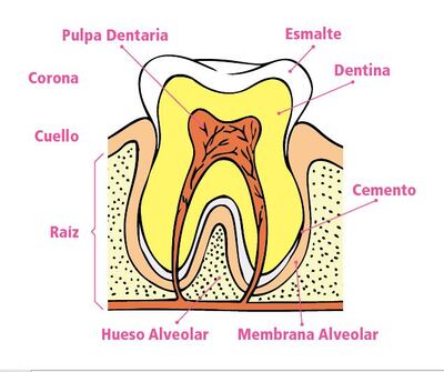 /pf/resources/images/abc-placeholder.png?d=2425