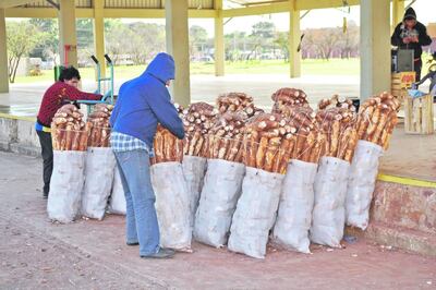 Imagen sin descripción