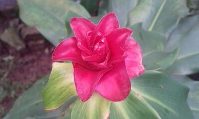 /pf/resources/images/abc-placeholder.png?d=2395