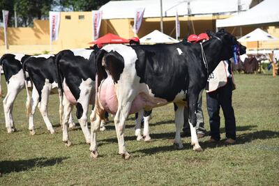 /pf/resources/images/abc-placeholder.png?d=2395