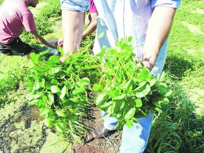 /pf/resources/images/abc-placeholder.png?d=2419