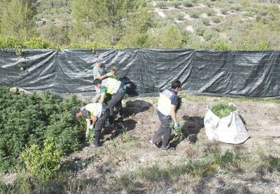 Imagen sin descripción
