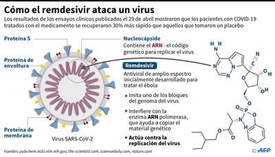 CÓMO EL REMDESIVIR ATACA UN VIRUS