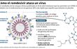 CÓMO EL REMDESIVIR ATACA UN VIRUS