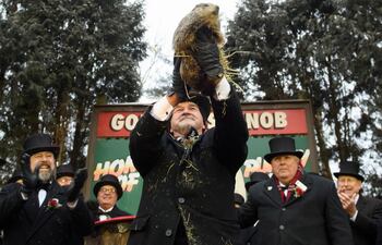 punxsutawney-phil-marmota-121407000000-1800581.JPG