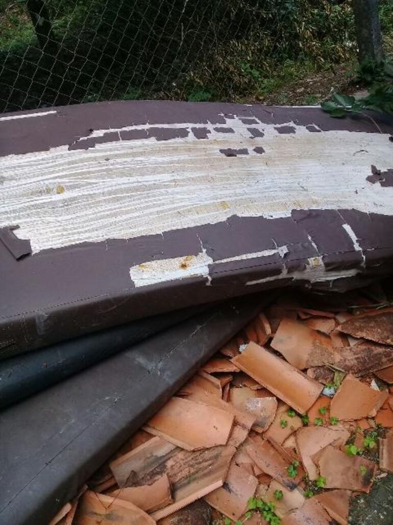 /pf/resources/images/abc-placeholder.png?d=2419