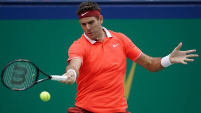 Juan Martín del Potro.