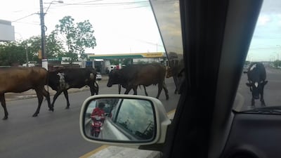 Imagen sin descripción