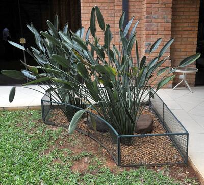 /pf/resources/images/abc-placeholder.png?d=2422