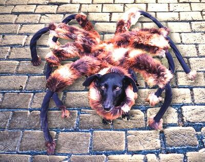 /pf/resources/images/abc-placeholder.png?d=2394