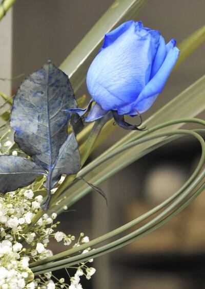 /pf/resources/images/abc-placeholder.png?d=2417