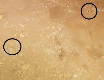 /pf/resources/images/abc-placeholder.png?d=2394