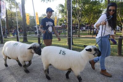 /pf/resources/images/abc-placeholder.png?d=2393