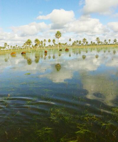 /pf/resources/images/abc-placeholder.png?d=2443