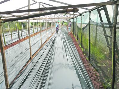 /pf/resources/images/abc-placeholder.png?d=2424