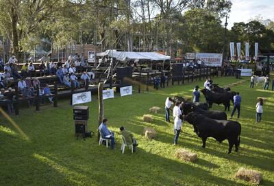 /pf/resources/images/abc-placeholder.png?d=2393