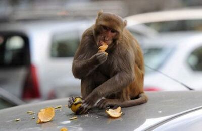 /pf/resources/images/abc-placeholder.png?d=2421