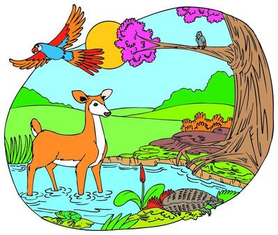 Imagen sin descripción