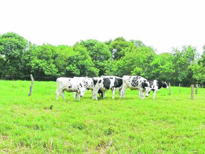 /pf/resources/images/abc-placeholder.png?d=2421