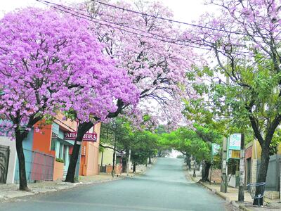 /pf/resources/images/abc-placeholder.png?d=2398