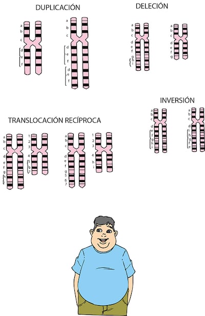 Mutaciones cromosómicas estructurales