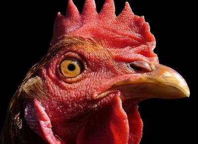 /pf/resources/images/abc-placeholder.png?d=2395