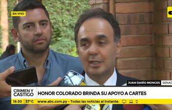 Honor Colorado brinda su apoyo a Cartes