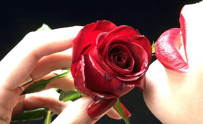 /pf/resources/images/abc-placeholder.png?d=2399