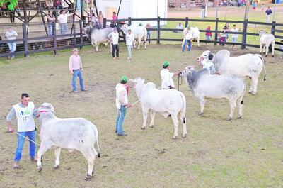 /pf/resources/images/abc-placeholder.png?d=2425