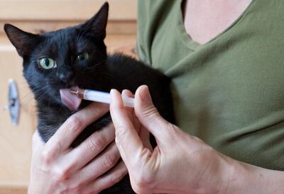 /pf/resources/images/abc-placeholder.png?d=2416